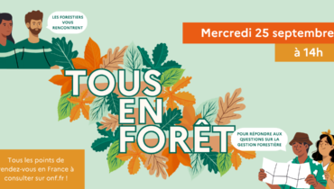 https://garches.fr/app/uploads/2024/09/header-tous-en-foret.png