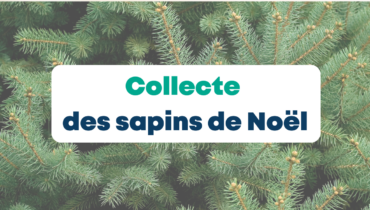 https://garches.fr/app/uploads/2024/12/collecte-sapins-noel.png