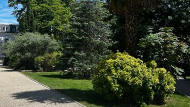 https://garches.fr/app/uploads/2026/06/IMG_7633.jpeg