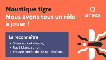 https://garches.fr/app/uploads/2026/08/moustique-tigre.jpg